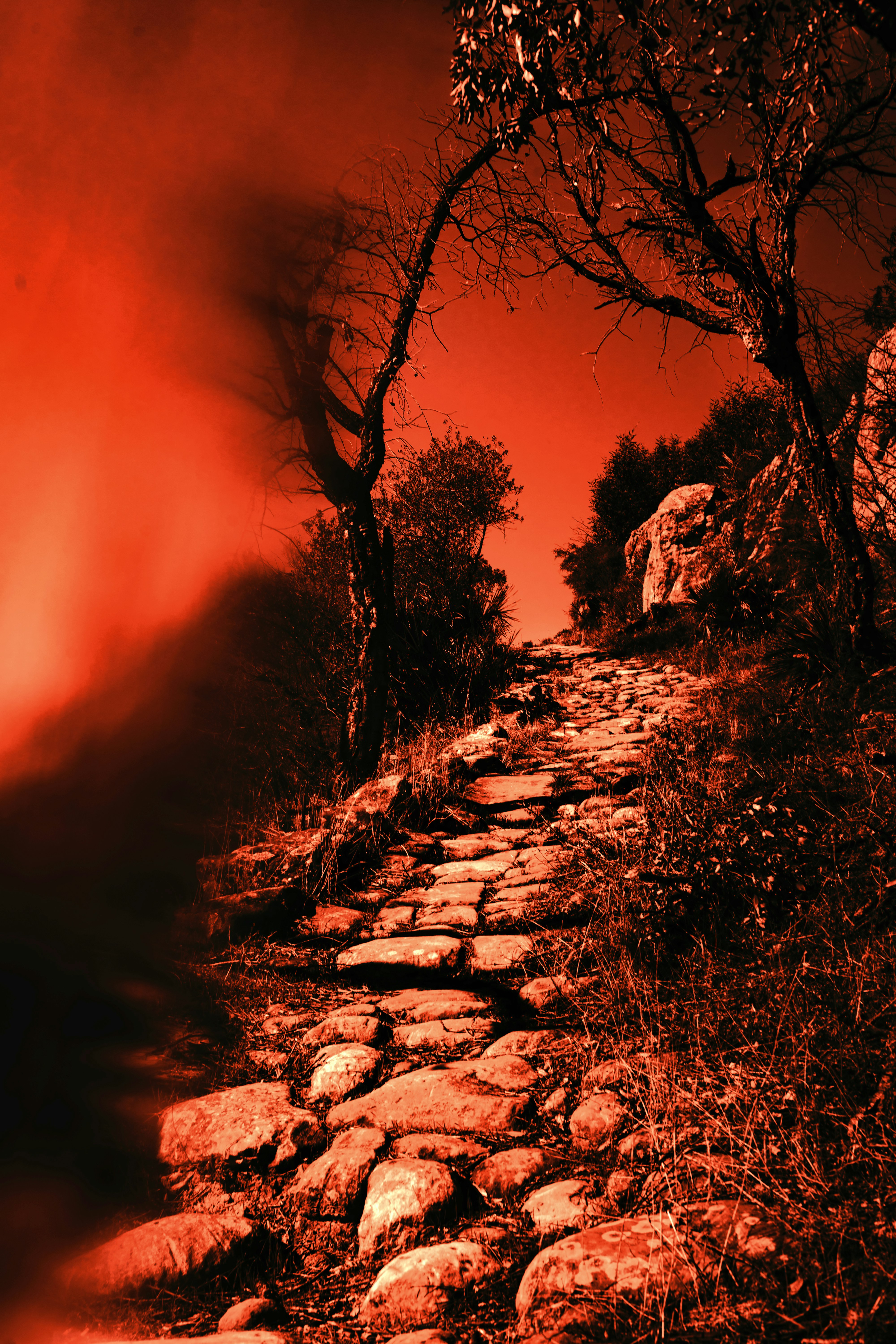 Goetia: 72 духа Соломона — полный обзор, история и значение